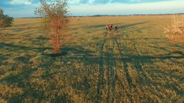 Młodzi ludzie na rowerze na rowerach przez zielony i żółty lato łąka pole — Wideo stockowe