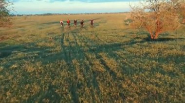 Genç insanlar Bisiklet yeşil ve sarı yaz çayır alan aracılığıyla Bisiklete binme