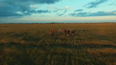 Genç insanlar Bisiklet yeşil ve sarı yaz çayır alan aracılığıyla Bisiklete binme