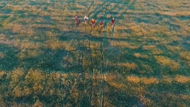 Jovens pedalando de bicicleta pelo campo verde e amarelo do prado de verão — Vídeo de Stock