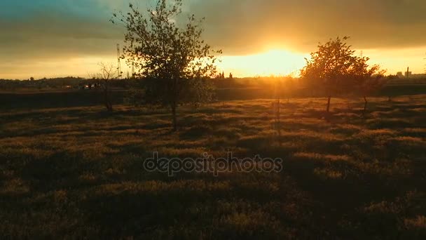 Puesta de sol sobre el prado grande — Vídeos de Stock