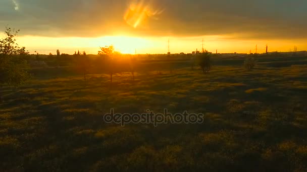 Захід сонця над великим лугом — стокове відео
