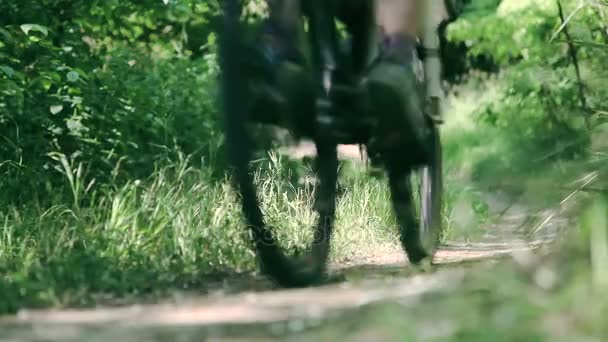 Close-up shot of bikes riding on park trail — Stock Video