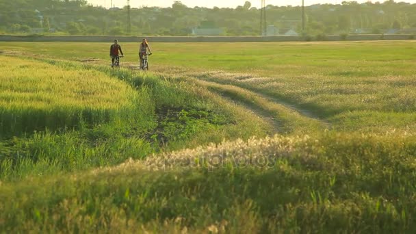 Pareja joven en bicicleta juntos en el campo — Vídeo de stock