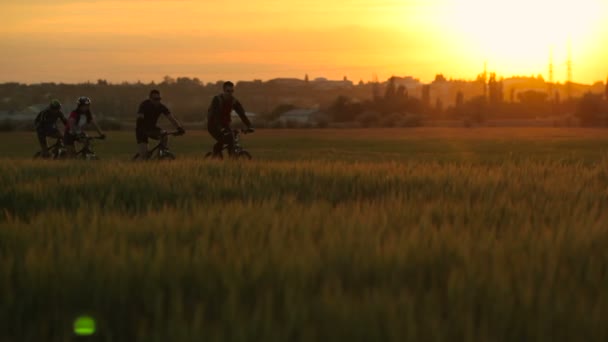Велогонщики на велосипедах — стоковое видео