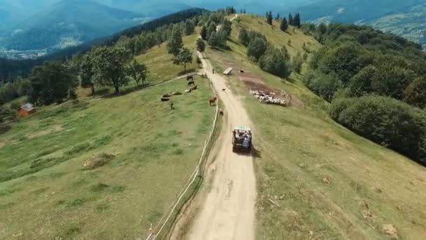 Zdjęcia lotnicze z samochodów, poruszających się na górskiej drodze — Wideo stockowe