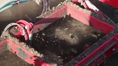 Traktör yetiştirilmesi arazi