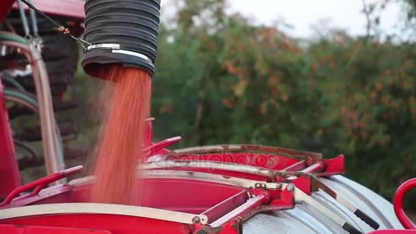 Вивантаження зерна з причепа трактора в силосі — стокове відео