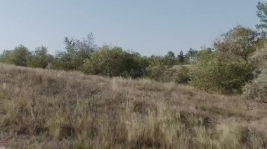 Kız dik bir yamaç aşağı gelir. Doğa arasında seyahat.