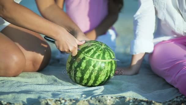 Mother cutting watermelon on the beach — Stock Video