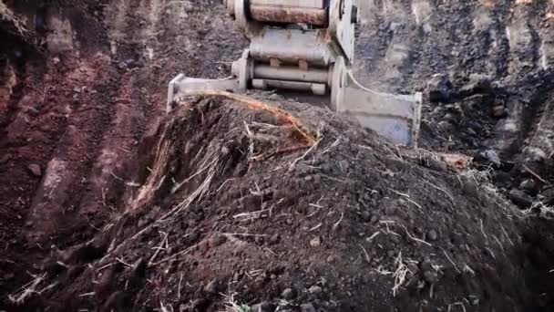 Grävmaskinen gräver jorden. Skopa av traktor — Stockvideo