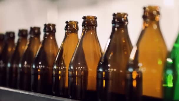 Üres sörösüvegek a konvelin vonalon — Stock videók