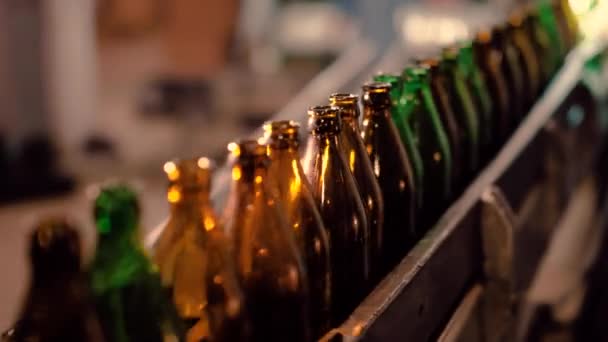 Порожні скляні пляшки пива рухаються вздовж конвеєрної лінії . — стокове відео