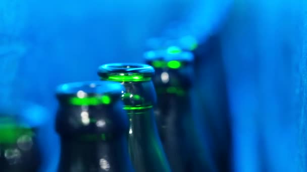 Bierflasche uv Verarbeitung — Stockvideo