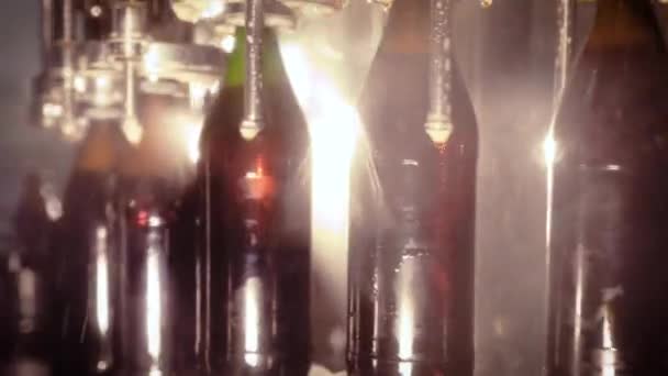 Bryggerikoncept. Ölfabrik. Automatisk ölflasklinje. — Stockvideo