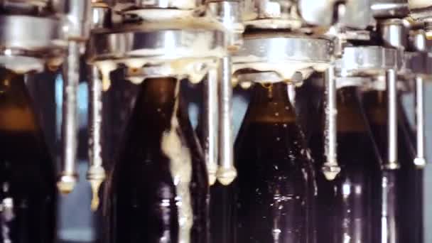 Beer Bottles Close Up On Brewery Bottling Line. — Stock Video