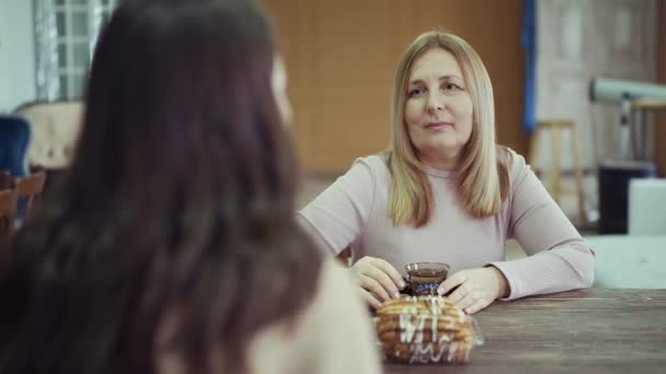 Dame besteedt vrije tijd drinken hete thee met volwassen vrouw — Stockvideo