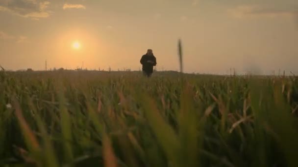 Agrônomo no campo com um smartphone em suas mãos conta operações agrícolas — Vídeo de Stock