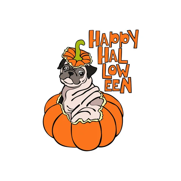 Cão. Puppy Pug. Abóbora de Halloween. Objeto vetorial isolado no fundo branco . — Vetor de Stock