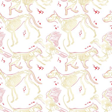 İskelet: köpek, kedi, kuş. Sorunsuz vektör arka plan (desen). 