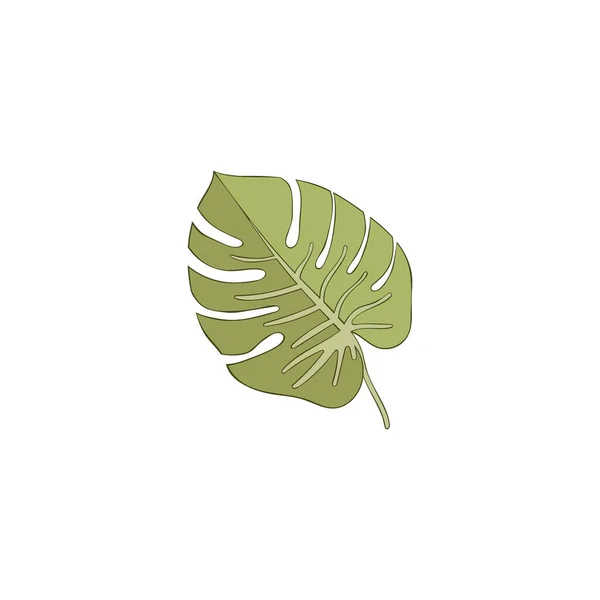 Tropische Planten Takken Met Bladeren Geïsoleerd Vectorobject Witte Achtergrond — Stockvector