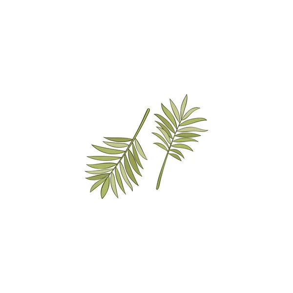 Тропические Растения Ветки Листьями Изолированный Векторный Объект Белом Фоне — стоковый вектор