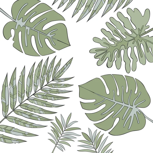 Botanik Pflanzen Äste Und Blätter Vereinzelte Vektorobjekte Auf Weißem Hintergrund — Stockvektor