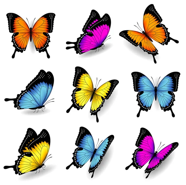 Illustrations vectorielles papillon couleur — Image vectorielle