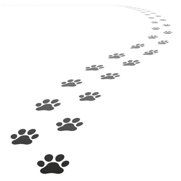 Vector hond paw prints — Stockvector