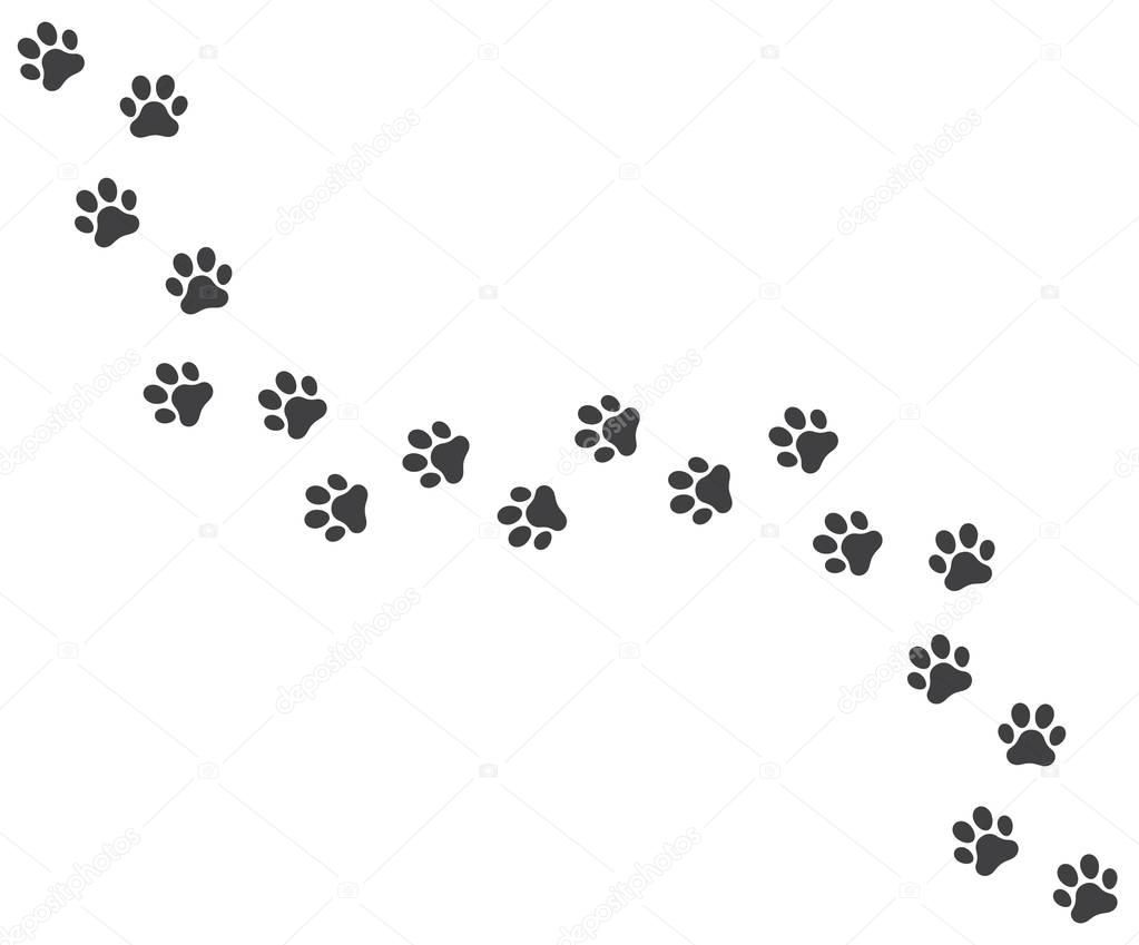 Vector trail of dog footprints