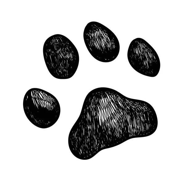 Vector dog paw print — Stock Vector