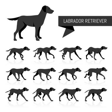 Labrador Retriever vector silhouettes