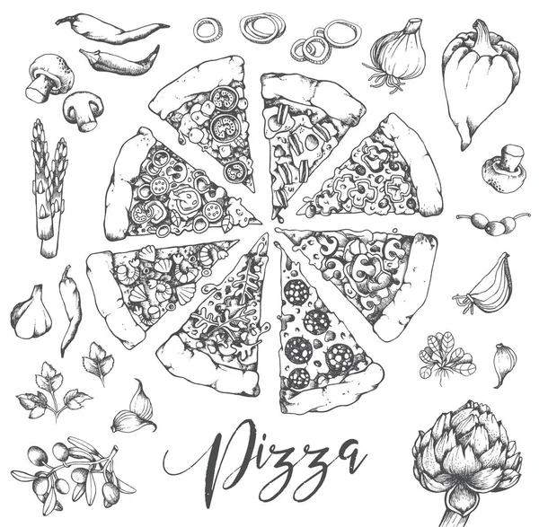 Vector Pizza handgezeichnete Illustration — Stockvektor