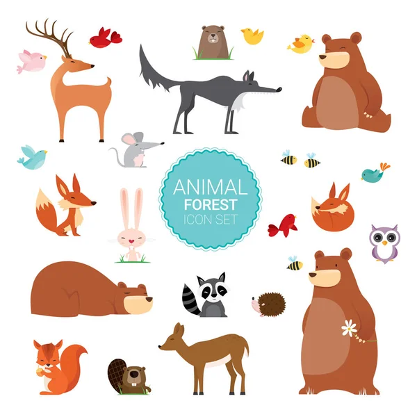 Creative Cute Wild Forest Animals vector illustrations — Stock Vector