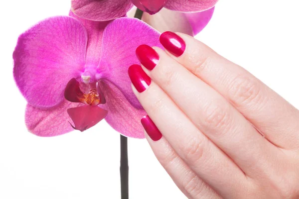 Pěstěné nehty pohlazení tmavě růžový květ pedály — Stock fotografie