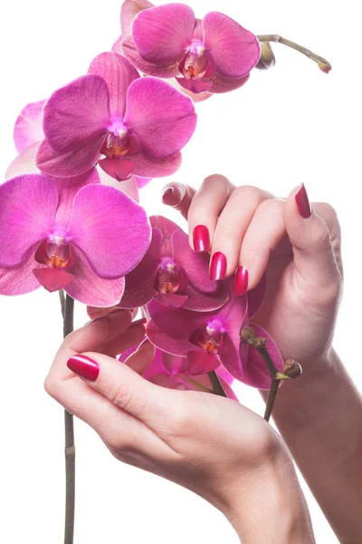 Gepflegte Nägel streicheln dunkelrosa Blütenpedale — Stockfoto