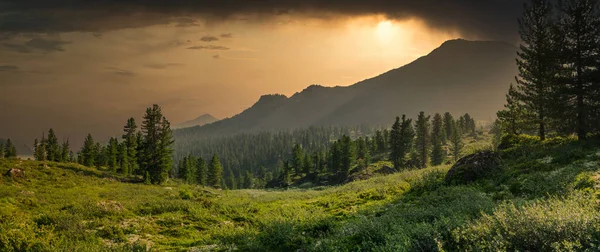 Vista Panorámica Con Cordillera Cedros Siempreverdes Verde Valle Hierba Nubes — Foto de Stock