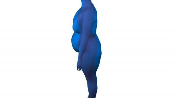 3d Frau an Gewicht zu gewinnen und abzunehmen. Kit 2 in 1. 3D-Darstellung.