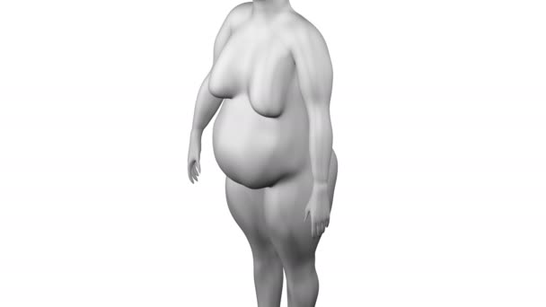 3D γυναίκα αύξηση του σωματικού βάρους και χάνει βάρος. 3D rendering. — Αρχείο Βίντεο