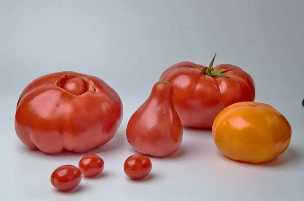 Tomates Diferentes Formas Cores Diferentes Fundo Branco — Fotografia de Stock