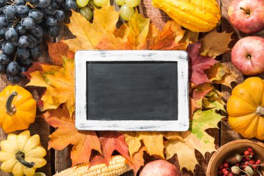 Sonbahar Şükran Günü geçmişi