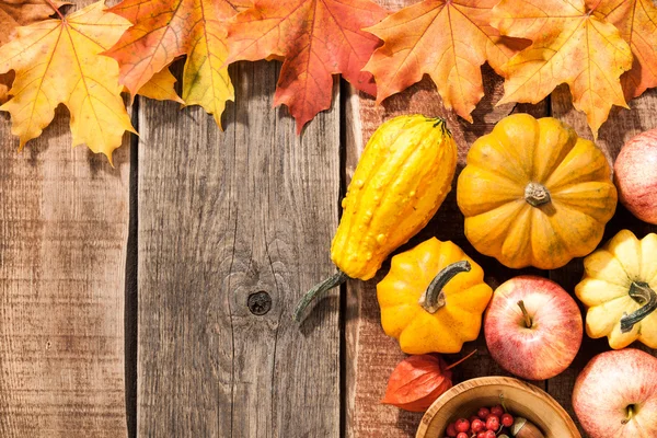 Lo sfondo autunnale — Foto Stock