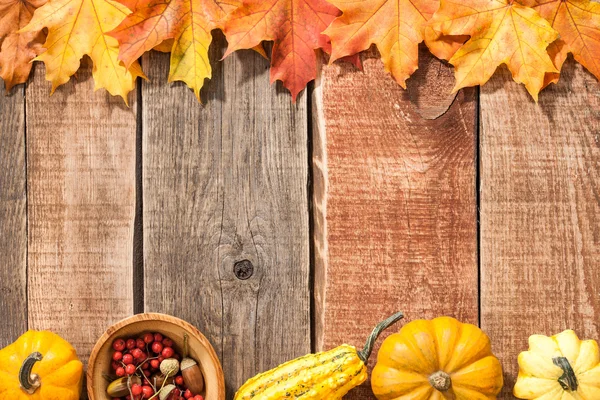 Höstens bakgrunden — Stockfoto