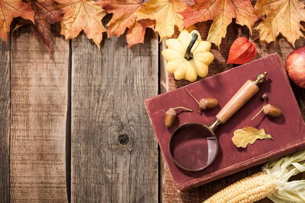 Autumn still life — Stock Photo, Image