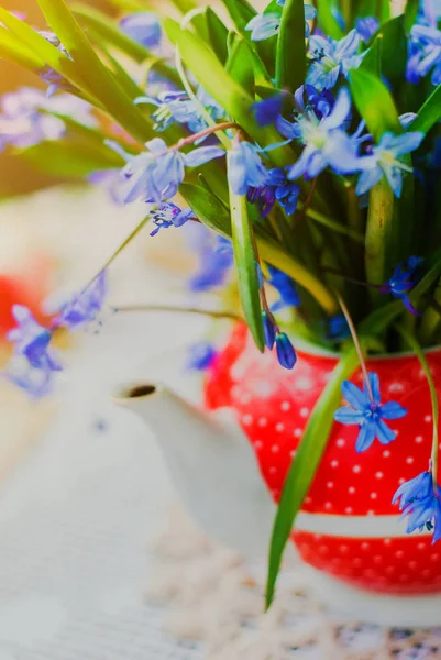 Belles fleurs du début du printemps, scilla siberica, en théière rouge sur table blanche — Photo