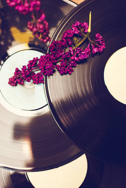 Vinyl record and spring flowers