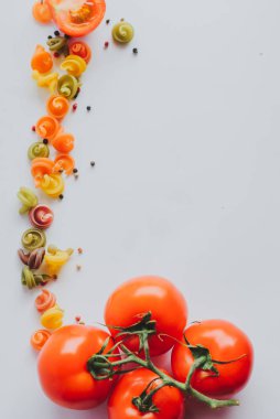 Arka plan ile renkli makarna, domates, baharatlar. metin için yer