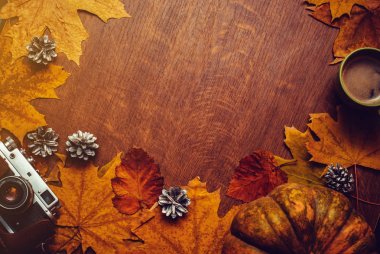 Şükran günün kutlu olsun sonbahar arka plan ile kabak, koniler, fincan kahve, vintage fotoğraf makinesi