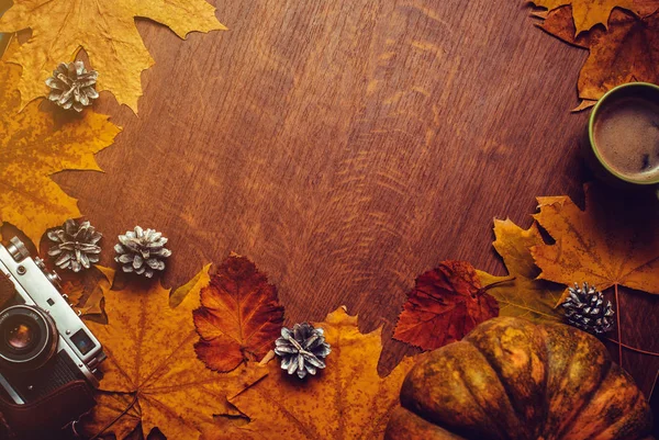 Şükran günün kutlu olsun sonbahar arka plan ile kabak, koniler, fincan kahve, vintage fotoğraf makinesi