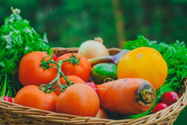 Taze organik sebze sepeti